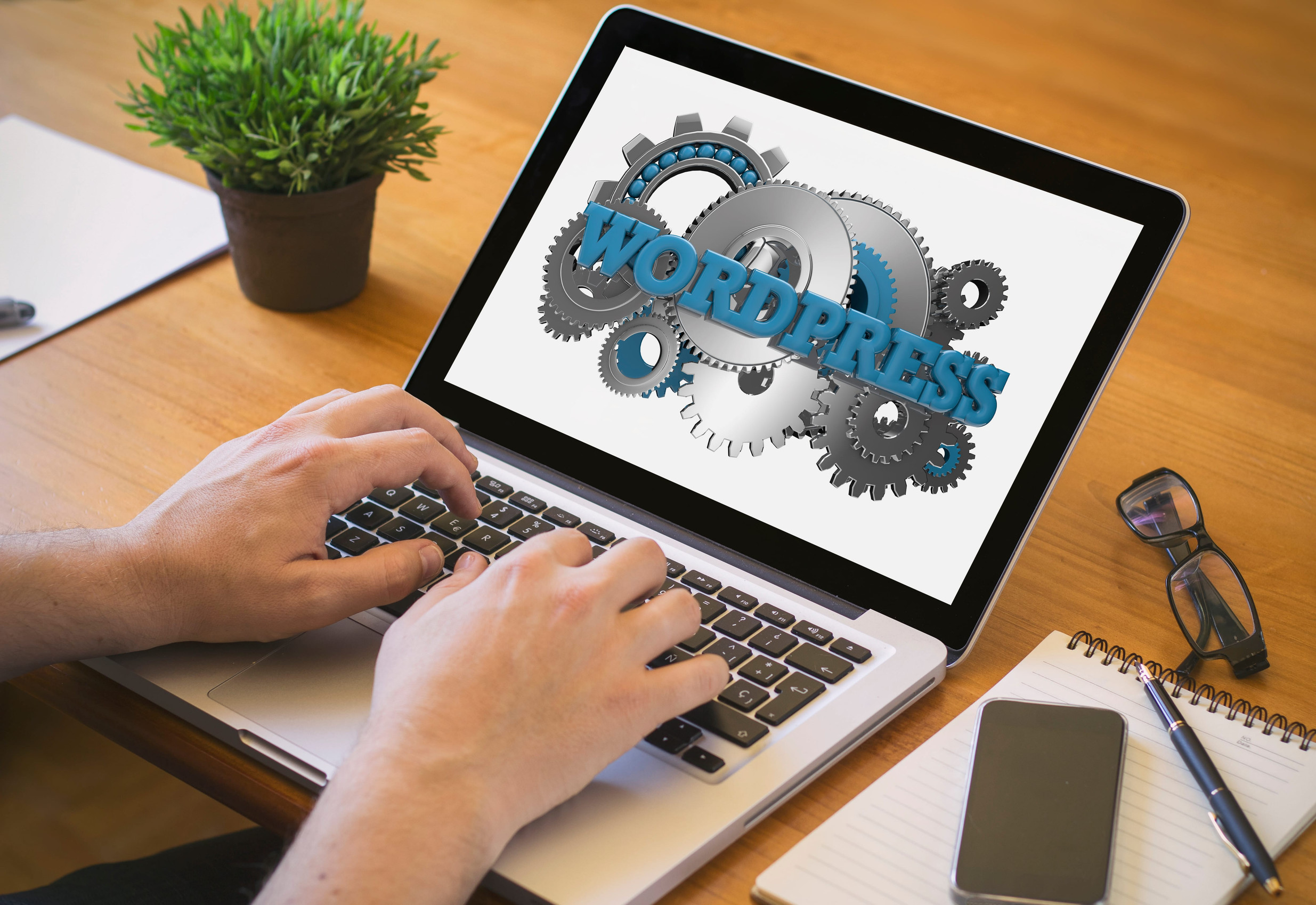 WordPress plugins